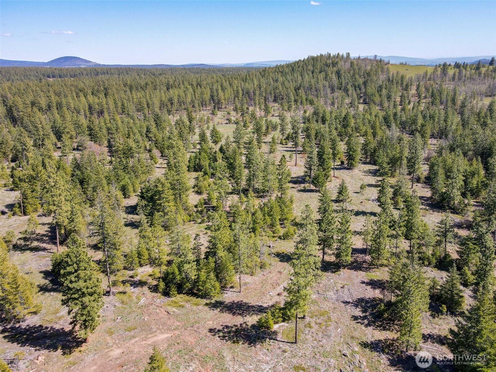 5 Sky Road Goldendale, WA 98620 - Photo 21 of 30 a view of a city with lush green forest