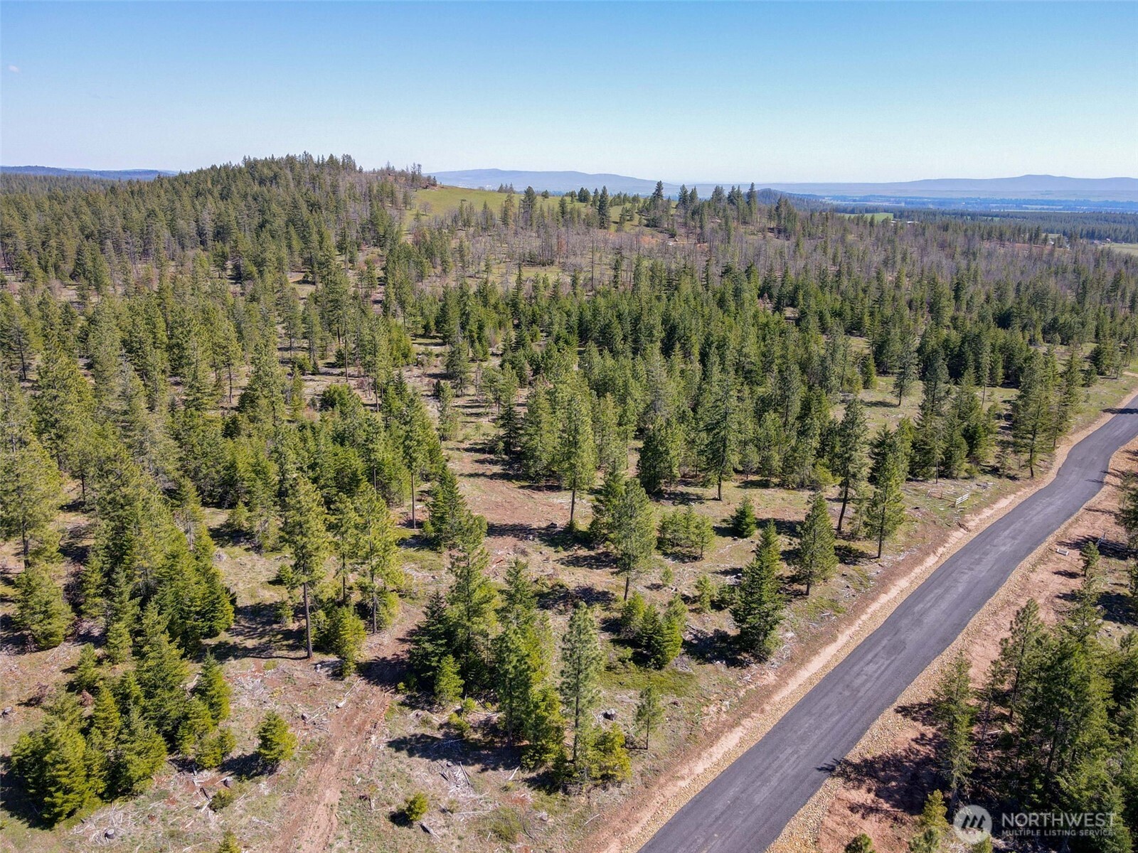 5 Sky Road Goldendale, WA 98620 - Photo 24 of 30 a view of a forest with a mountain