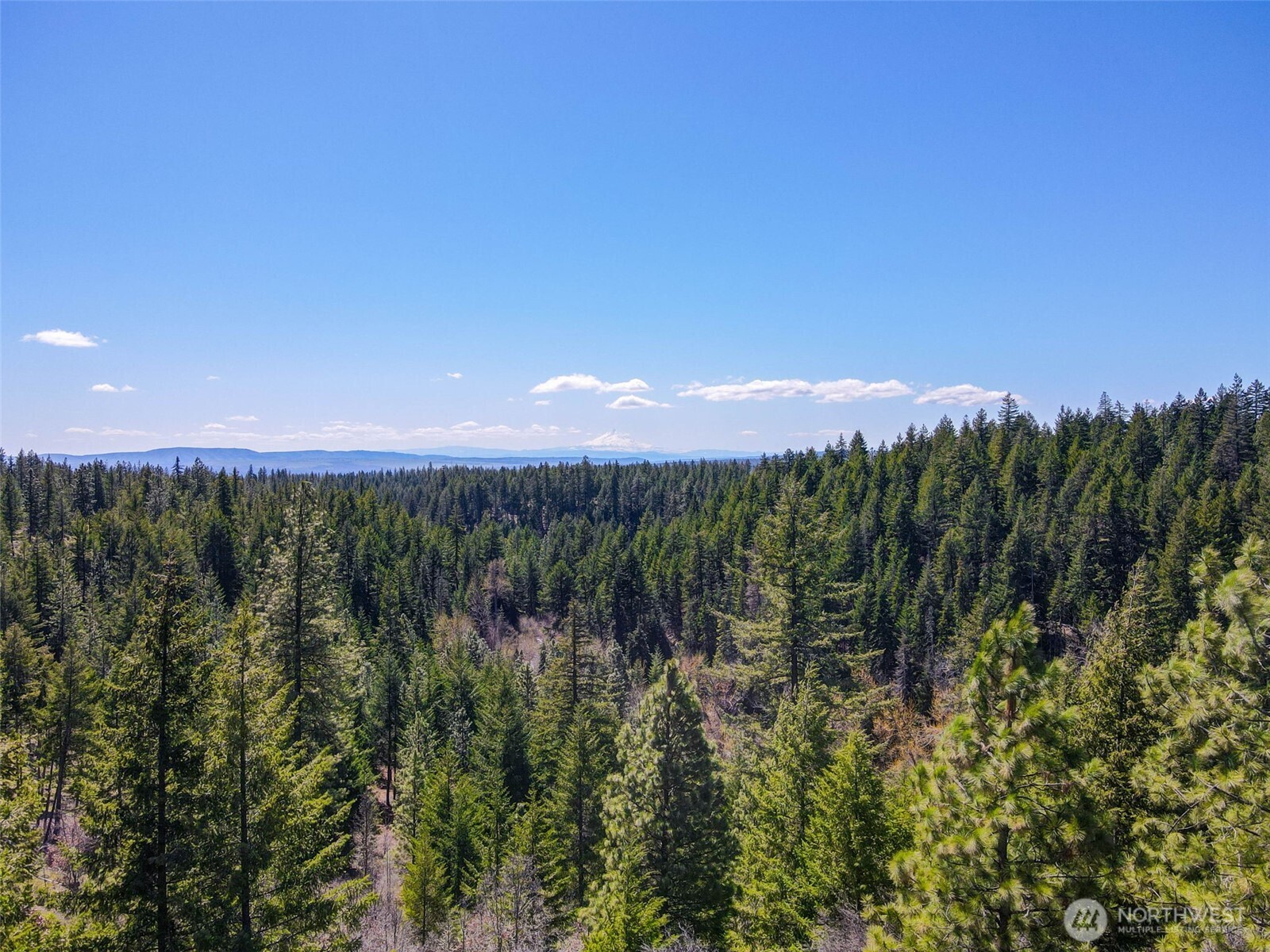 5 Sky Road Goldendale, WA 98620 - Photo 5 of 30 a view of a city with lush green forest