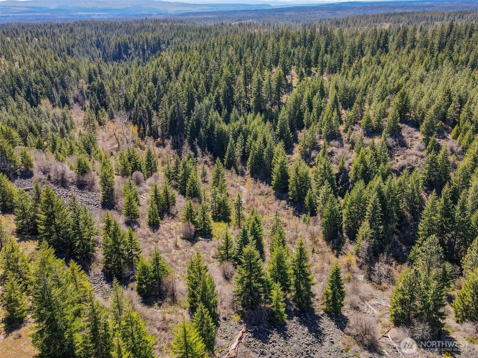 5 Sky Road Goldendale, WA 98620 - Photo 6 of 30 a view of a forest with a tree