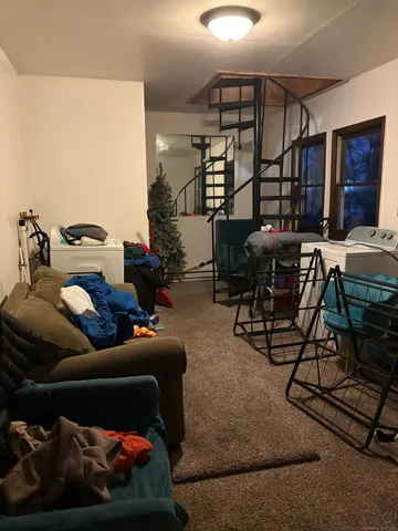 a view of yard with trees