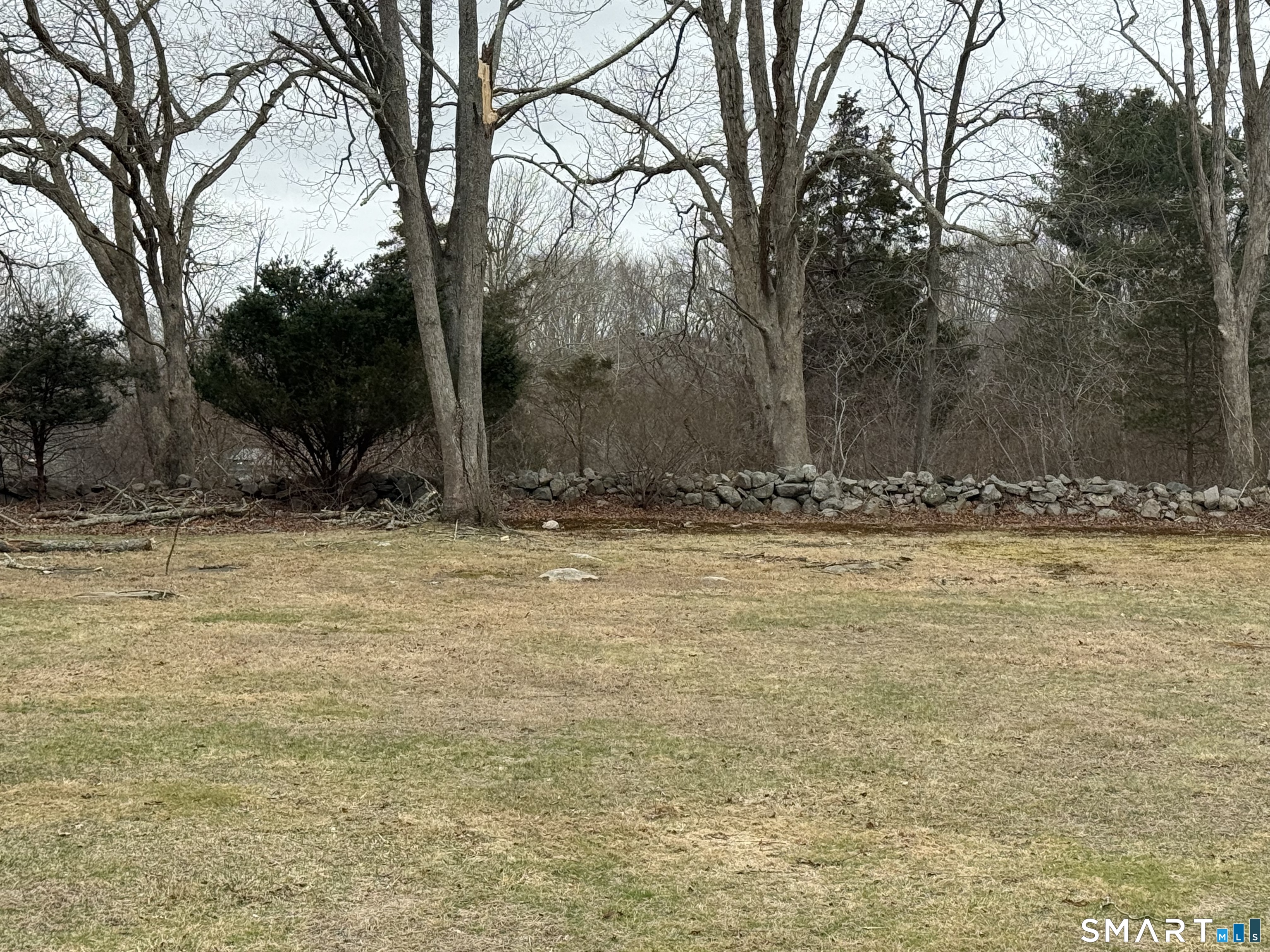 183 Whalehead Road Ledyard, CT 06335 - Photo 23 of 24 a view of house with large trees