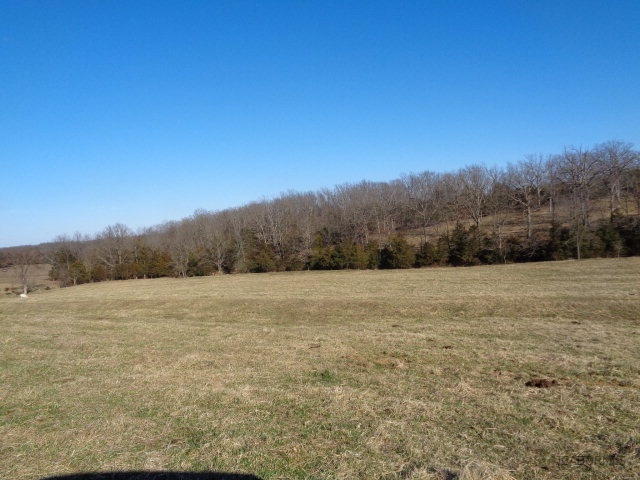 Whippoorwill Road California, MO 65018 - Photo 10 of 10