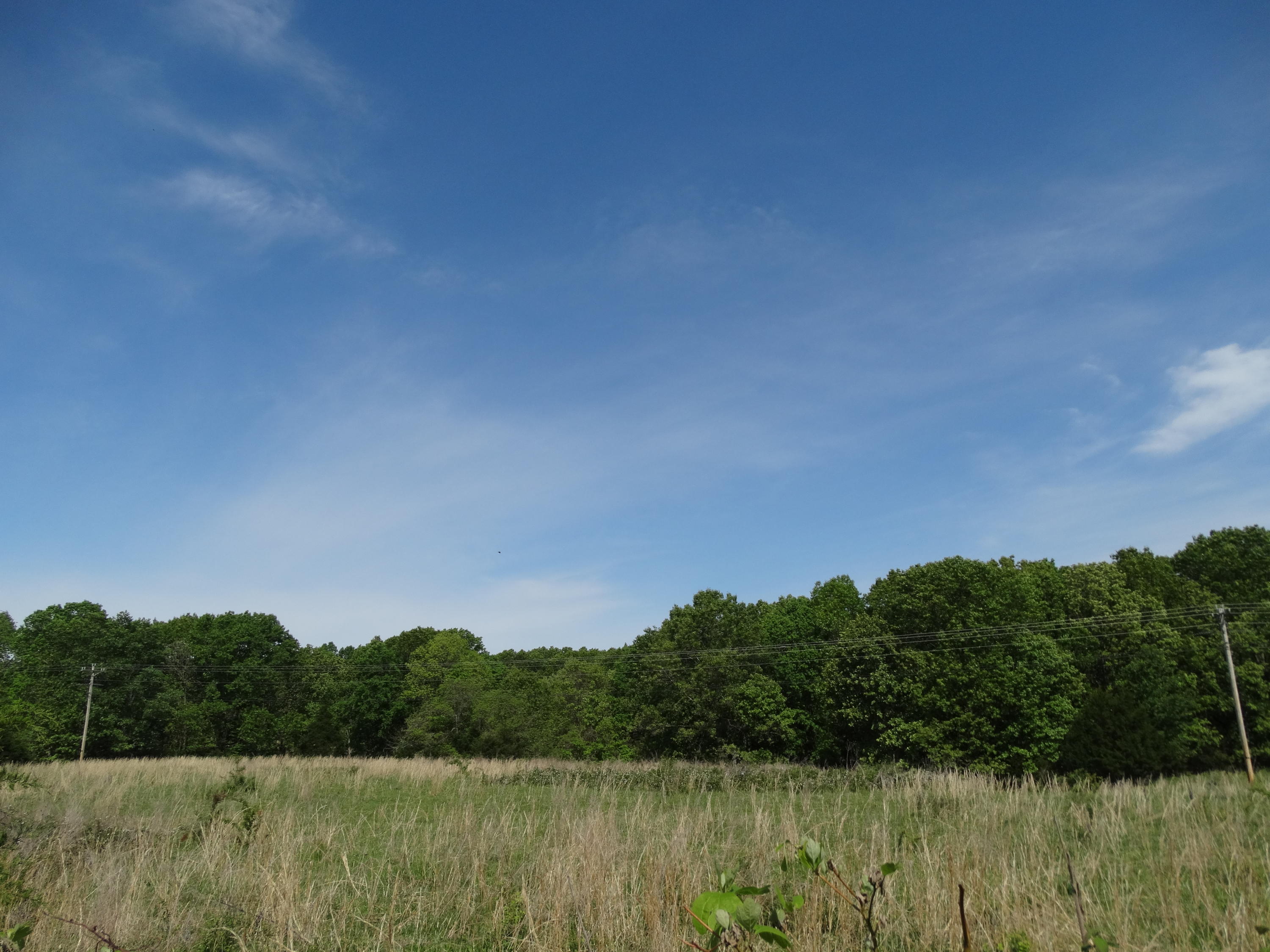 Tbd Old Wilderness Road Reeds Spring, MO 65737 - Photo 1 of 1 DSC01008