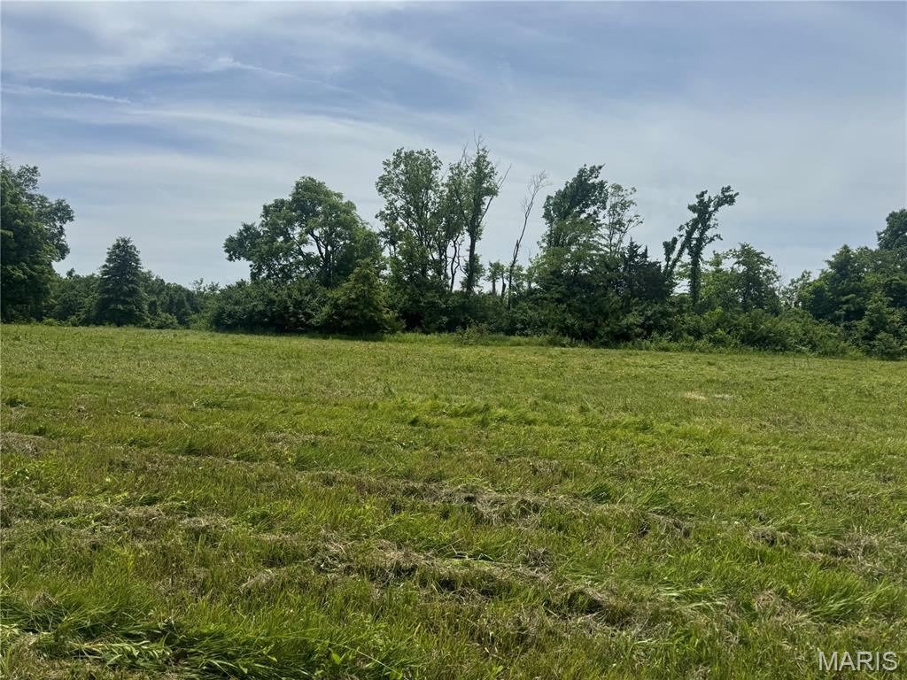 1122 Creech School Road Moscow Mills, MO 63362 - Photo 3 of 24