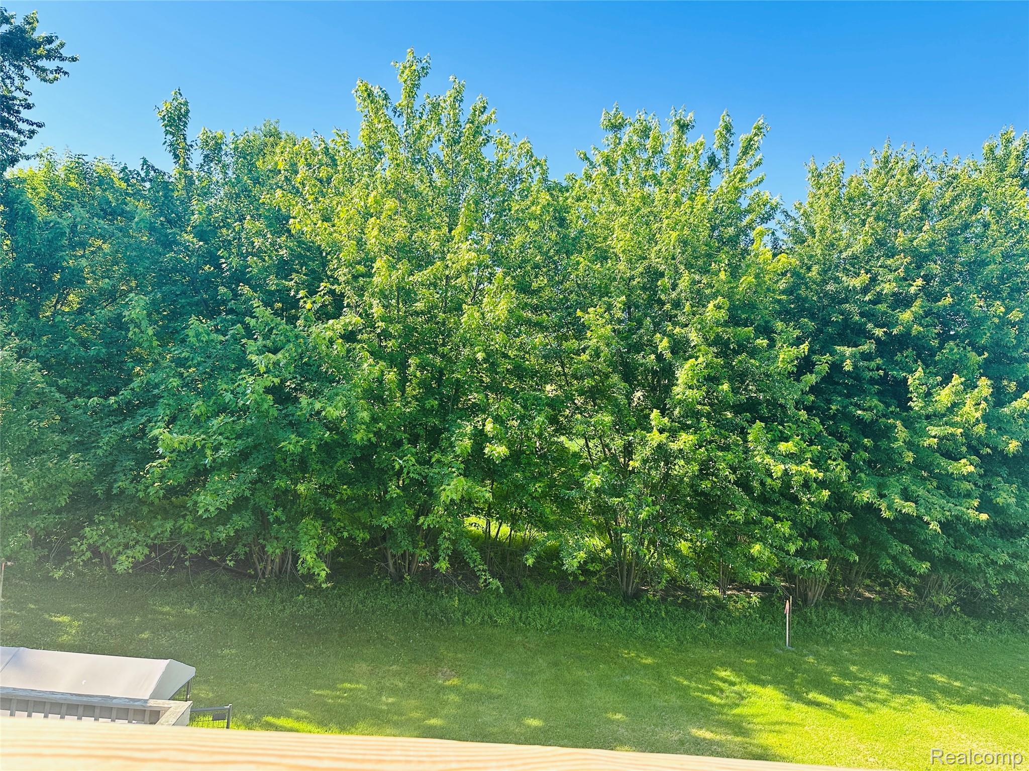11270 Rushton Road, Unit 3 South Lyon, MI 48178 - Photo 6 of 21 11270 Upper deck back yard tree view.jpg
