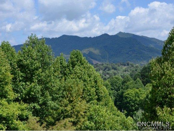 116 Hanks Road Waynesville, NC 28785 - Photo 2 of 14 Gallery Image 2