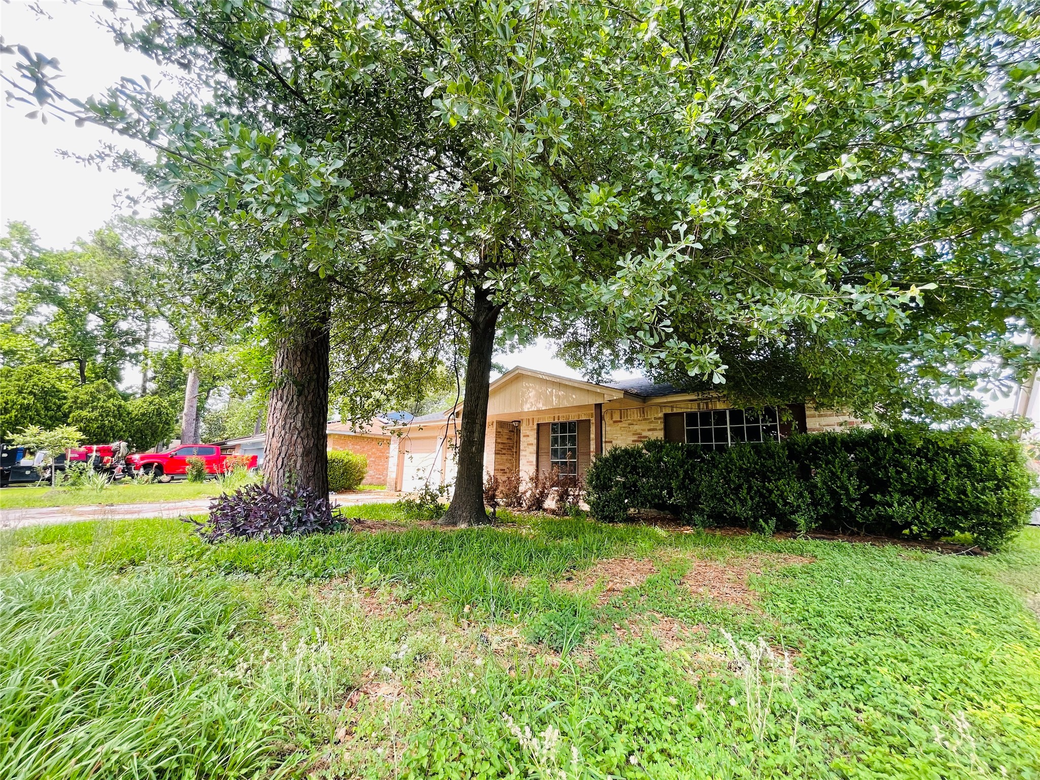 23930 Verngate Drive Spring, TX 77373 - Photo 2 of 6