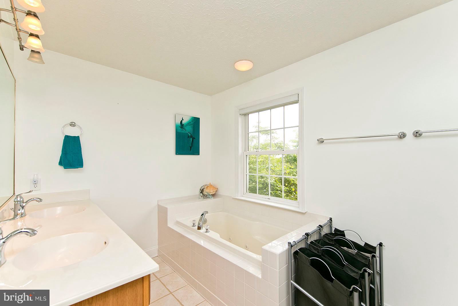 6363 Middle Road Stephens City, VA 22655 - Photo 31 of 81 Main level master bathroom w/ separate soaking tub