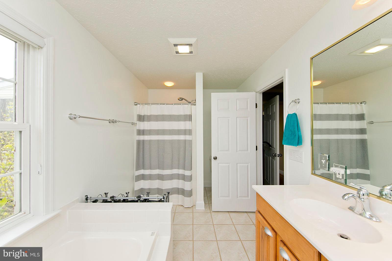 6363 Middle Road Stephens City, VA 22655 - Photo 32 of 81 Main level master bathroom w/ separate soaking tub