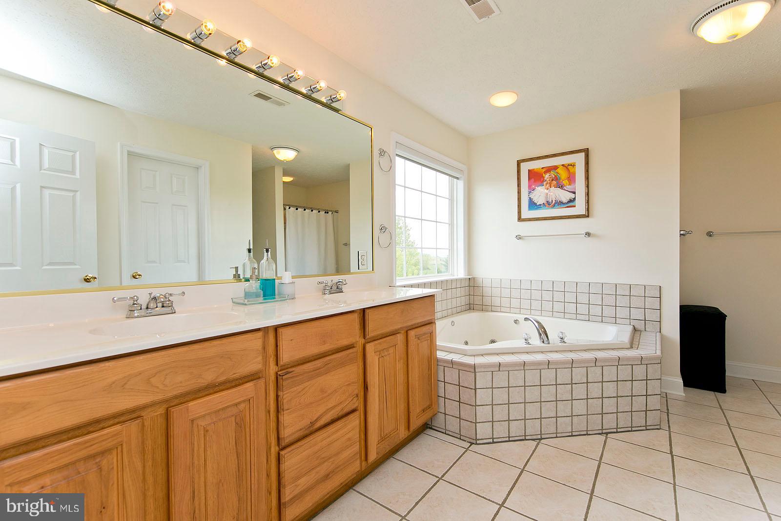 6363 Middle Road Stephens City, VA 22655 - Photo 42 of 81 Upper level master bathroom with soaking tub