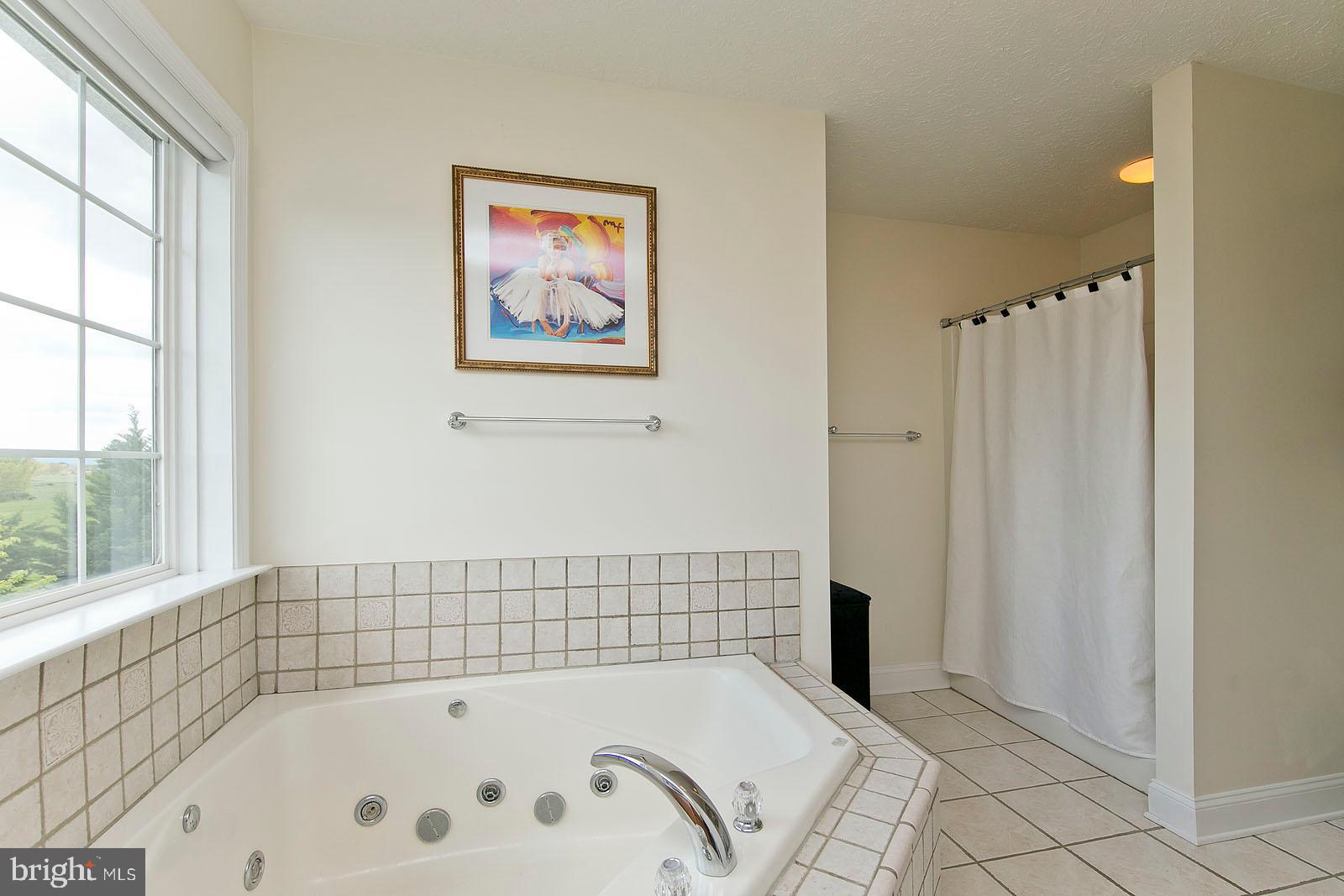 6363 Middle Road Stephens City, VA 22655 - Photo 43 of 81 Upper level master bathroom with jetted tub