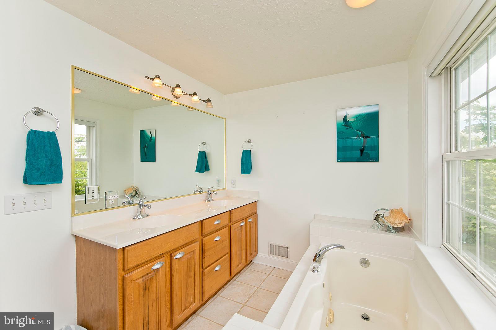6363 Middle Road Stephens City, VA 22655 - Photo 7 of 81 Main level master bathroom w/ separate soaking tub