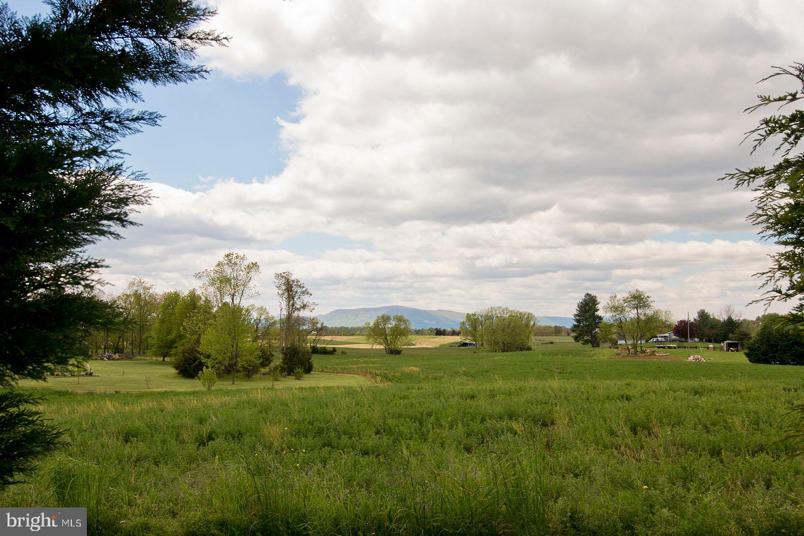 6363 Middle Road Stephens City, VA 22655 - Photo 62 of 81 Enjoy patoral views