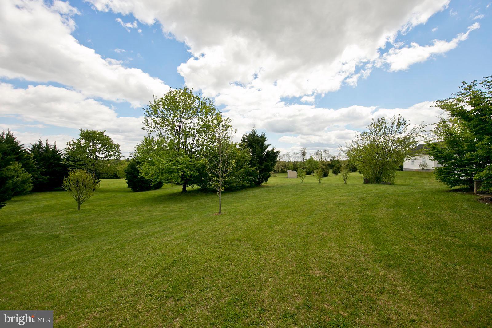 6363 Middle Road Stephens City, VA 22655 - Photo 63 of 81 Enjoy patoral views
