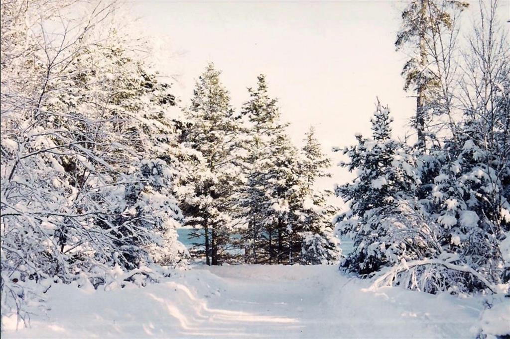 43 C Loon Point Road Jonesport, ME 04649 - Photo 33 of 35 Photo