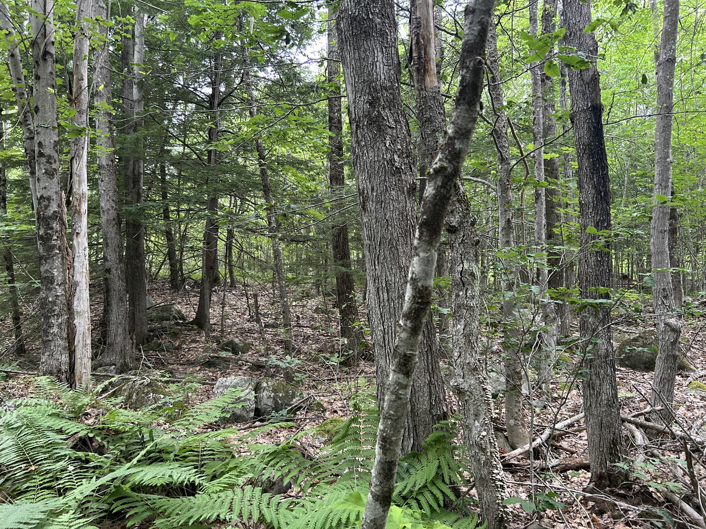 M7-l99h Bolton Hill Road Augusta, ME 04330 - Photo 18 of 30 41