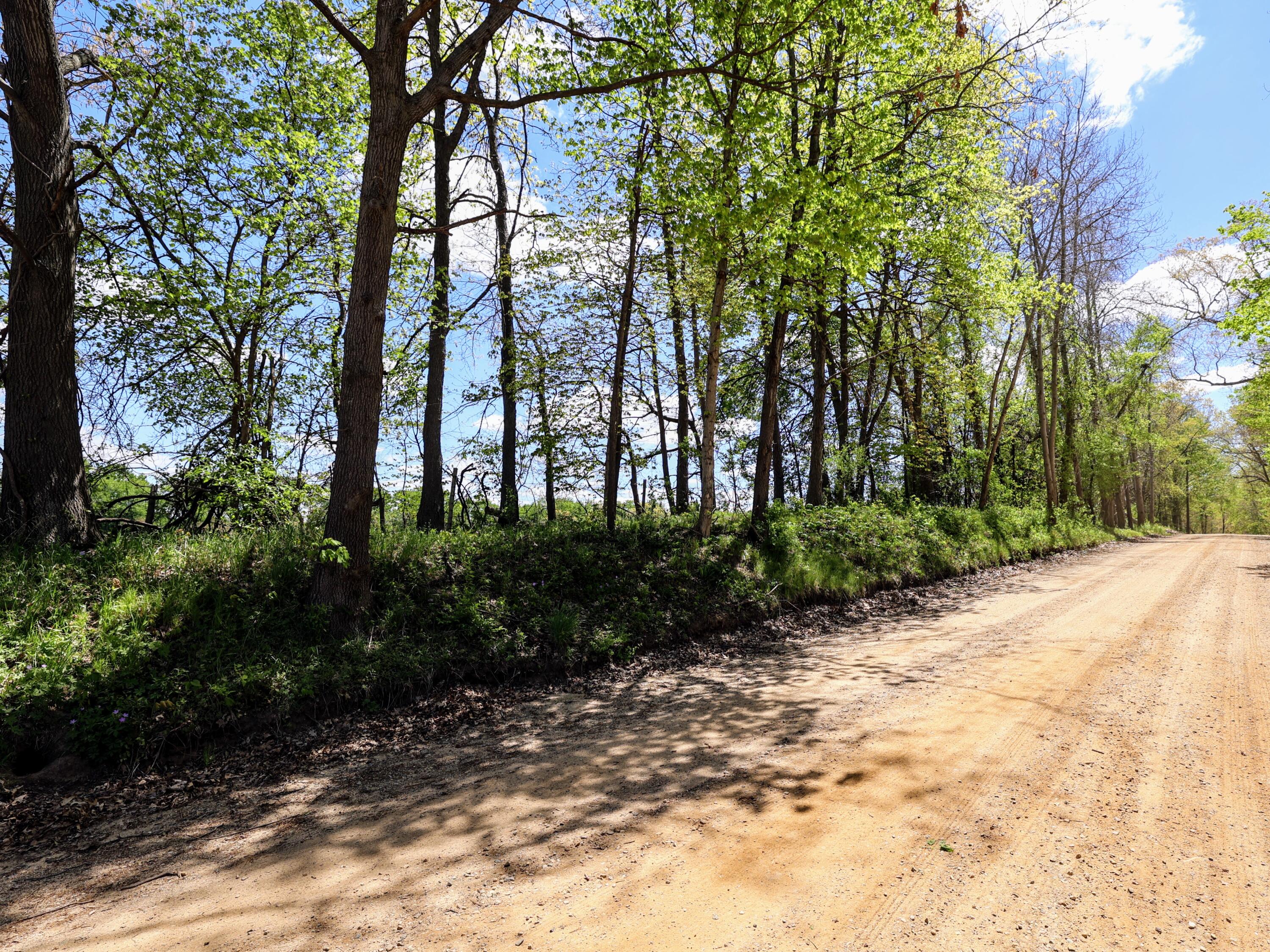 8 1/2 8 1/2 Mile Road Burlington, MI 49029 - Photo 33 of 55 33