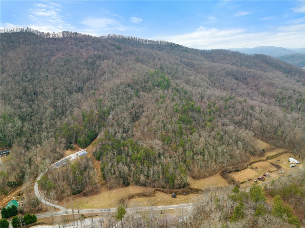 0 Callahan Mountain Road Travelers Rest, SC 29690 - Photo 1 of 42 Gallery Image 1