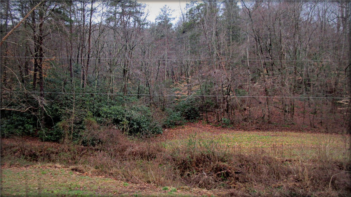 0 Callahan Mountain Road Travelers Rest, SC 29690 - Photo 12 of 42 Gallery Image 12