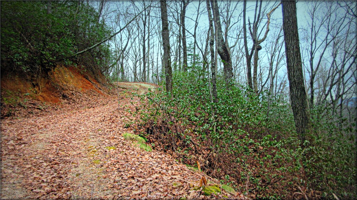 0 Callahan Mountain Road Travelers Rest, SC 29690 - Photo 15 of 42 Gallery Image 15
