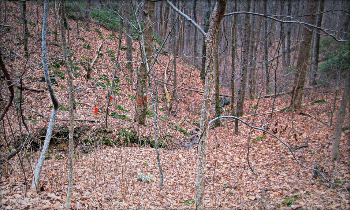 0 Callahan Mountain Road Travelers Rest, SC 29690 - Photo 19 of 42 Gallery Image 19
