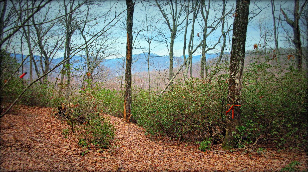 0 Callahan Mountain Road Travelers Rest, SC 29690 - Photo 21 of 42 Gallery Image 21