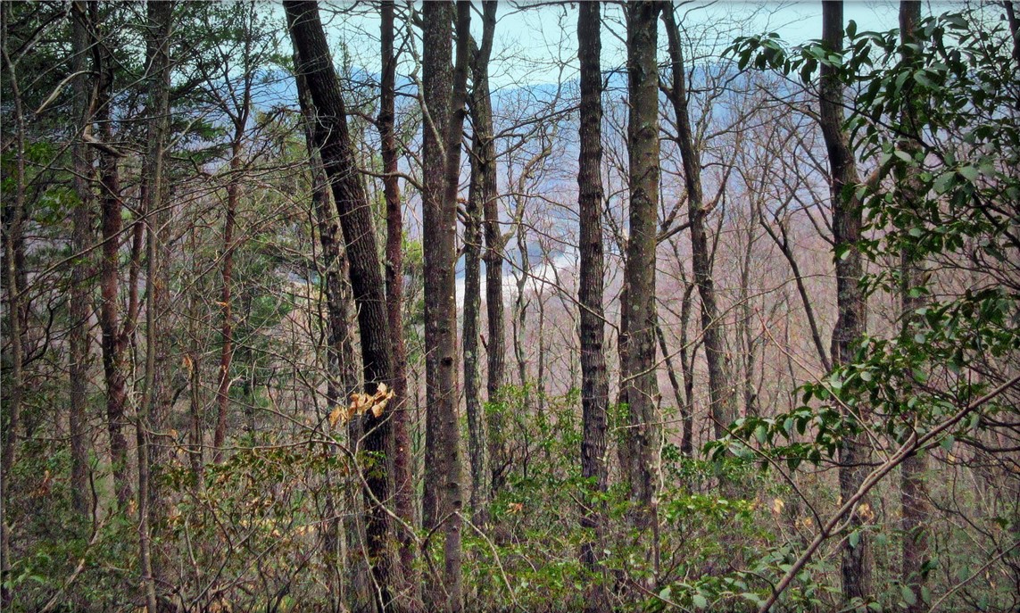 0 Callahan Mountain Road Travelers Rest, SC 29690 - Photo 22 of 42 Gallery Image 22
