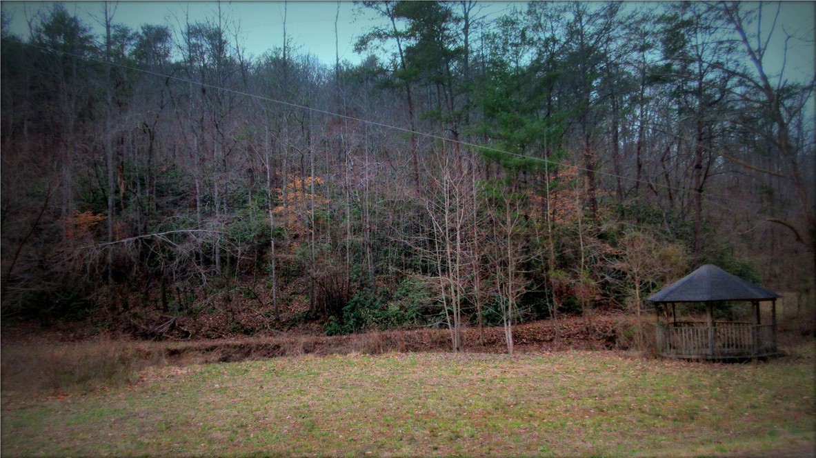 0 Callahan Mountain Road Travelers Rest, SC 29690 - Photo 24 of 42 Gallery Image 24