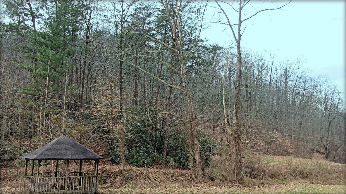 0 Callahan Mountain Road Travelers Rest, SC 29690 - Photo 3 of 42 Gallery Image 3