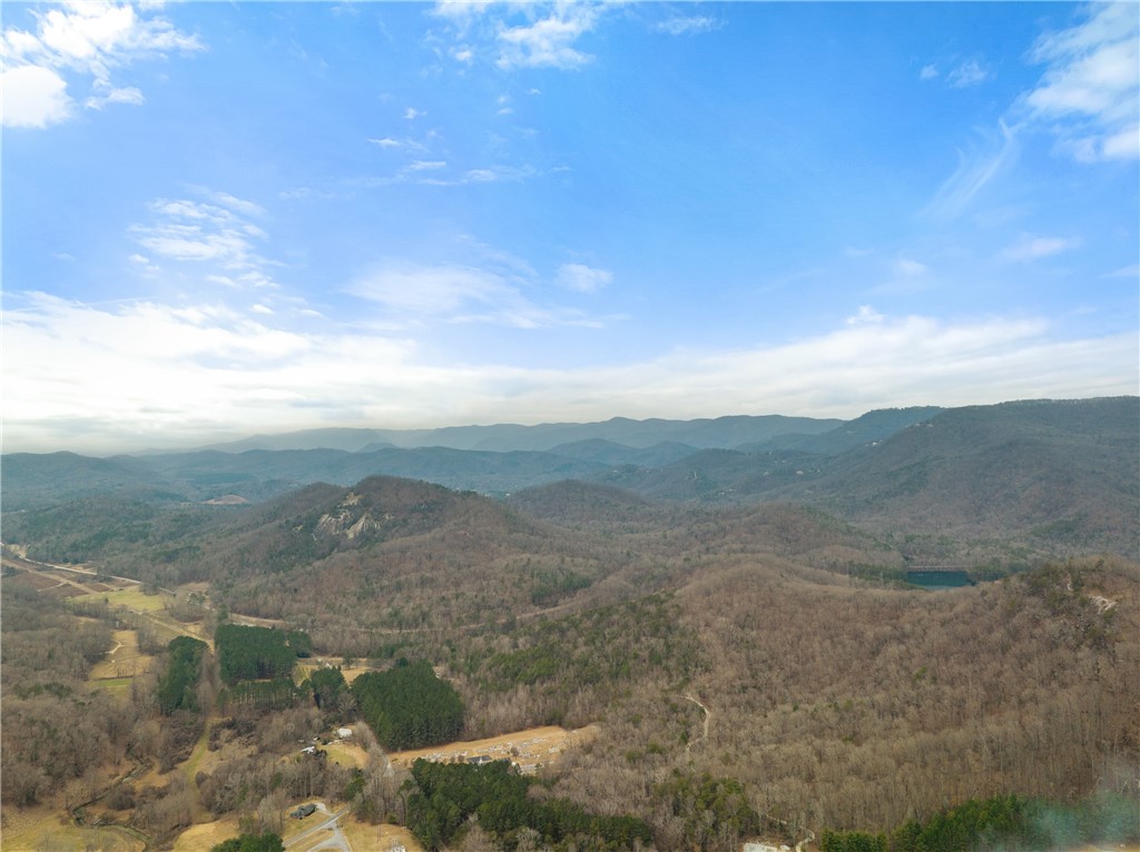 0 Callahan Mountain Road Travelers Rest, SC 29690 - Photo 36 of 42 Gallery Image 36