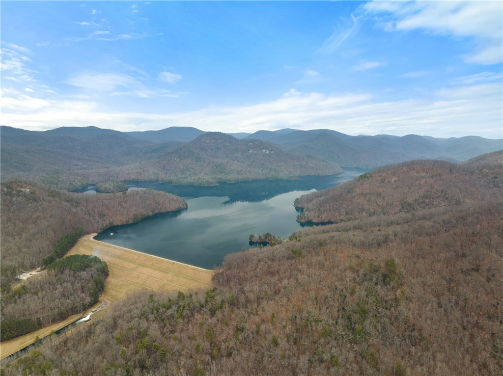 0 Callahan Mountain Road Travelers Rest, SC 29690 - Photo 39 of 42 Your view from atop the upper parcels!
