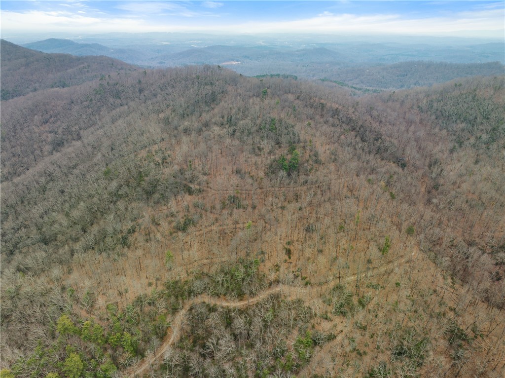 0 Callahan Mountain Road Travelers Rest, SC 29690 - Photo 40 of 42 Gallery Image 40