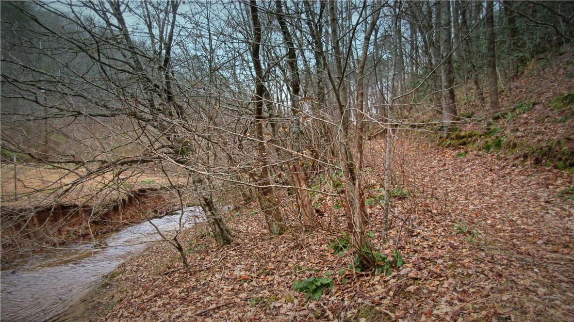 0 Callahan Mountain Road Travelers Rest, SC 29690 - Photo 4 of 42 Gallery Image 4