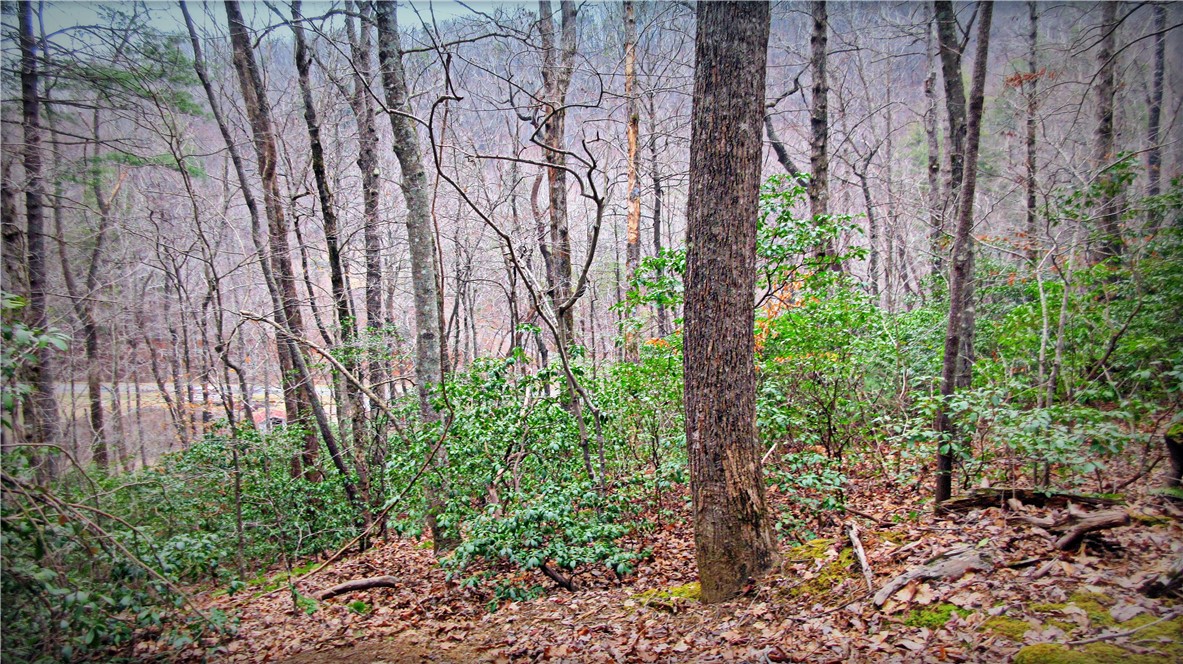 0 Callahan Mountain Road Travelers Rest, SC 29690 - Photo 7 of 42 Gallery Image 7