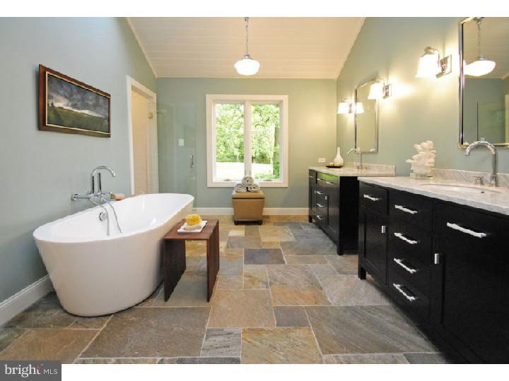 308 Lurgan Road New Hope, PA 18938 - Photo 16 of 24 Master Bathroom