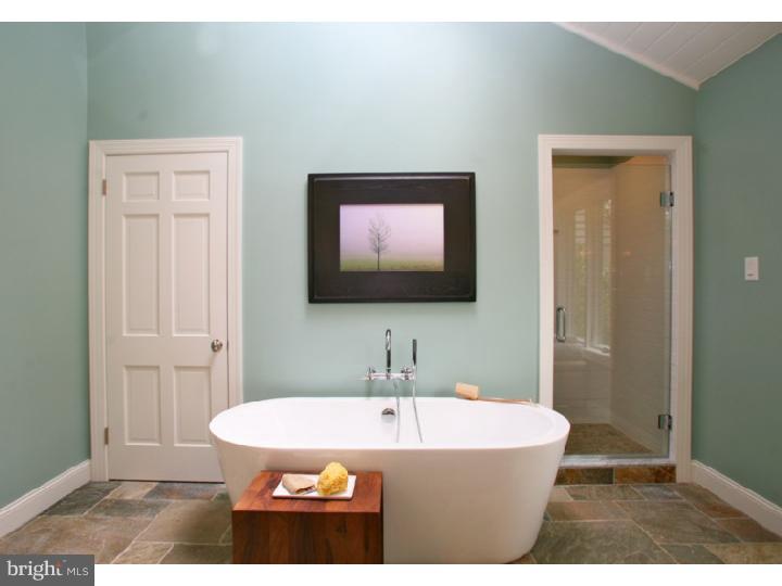 308 Lurgan Road New Hope, PA 18938 - Photo 17 of 24 Master Bathroom