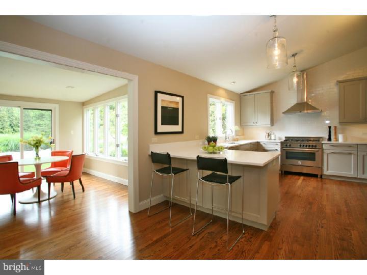 308 Lurgan Road New Hope, PA 18938 - Photo 7 of 24 Kitchen