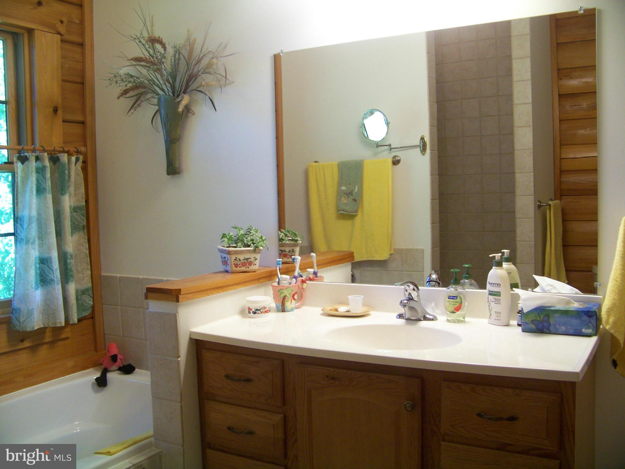 3307 Emory Road North Finksburg, MD 21048 - Photo 17 of 29 Bath (Master)