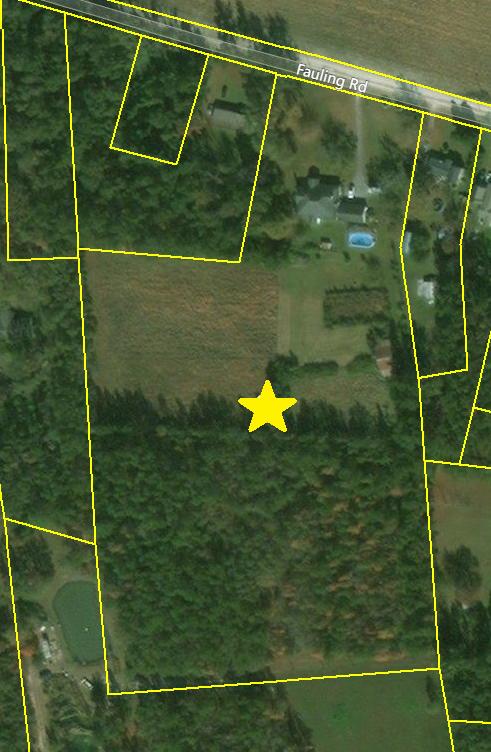 853 Fauling Road St. Stephen, SC 29479 - Photo 38 of 38 853 Fauling Property Lines