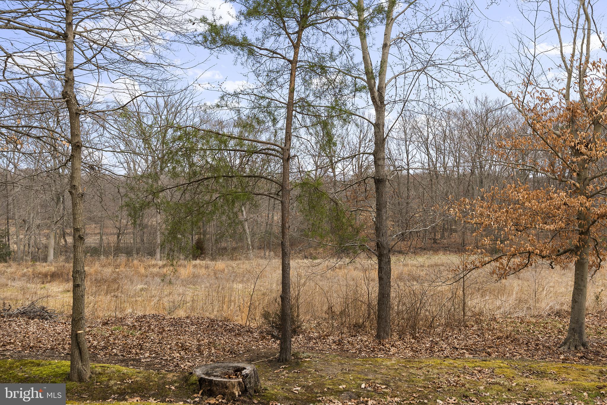125 Ridge Run Road North East, MD 21901 - Photo 22 of 22 Gallery Image 22