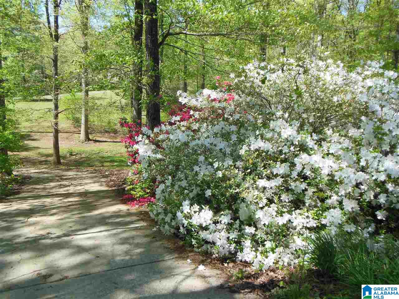 118 Tucker Lane Springville, AL 35146 - Photo 7 of 40