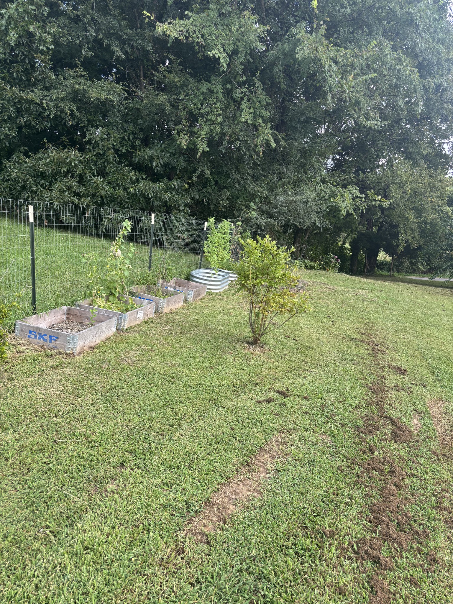 985 CCC Road McEwen, TN 37101 - Photo 13 of 37 Gallery Image 13