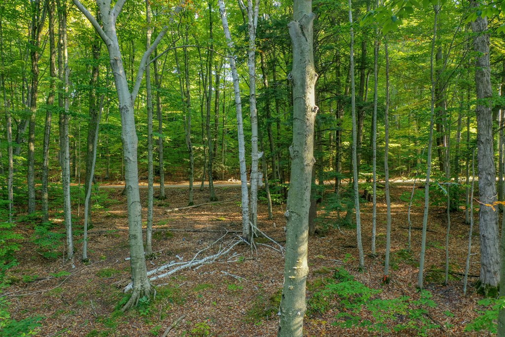 Bluff Pass Egg Harbor, WI 54209 - Photo 6 of 11