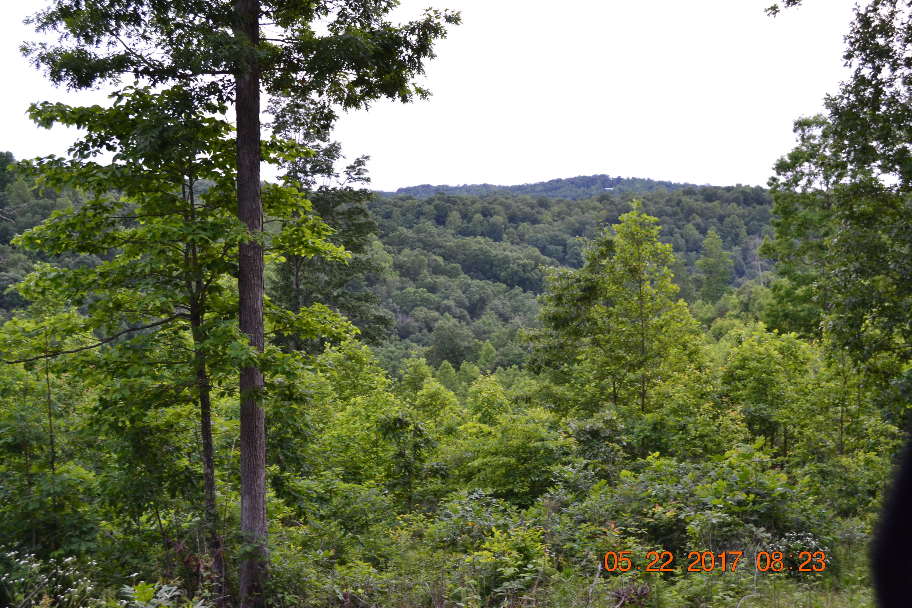 Walker Road Sharps Chapel, TN 37866 - Photo 2 of 4 DSC_0027