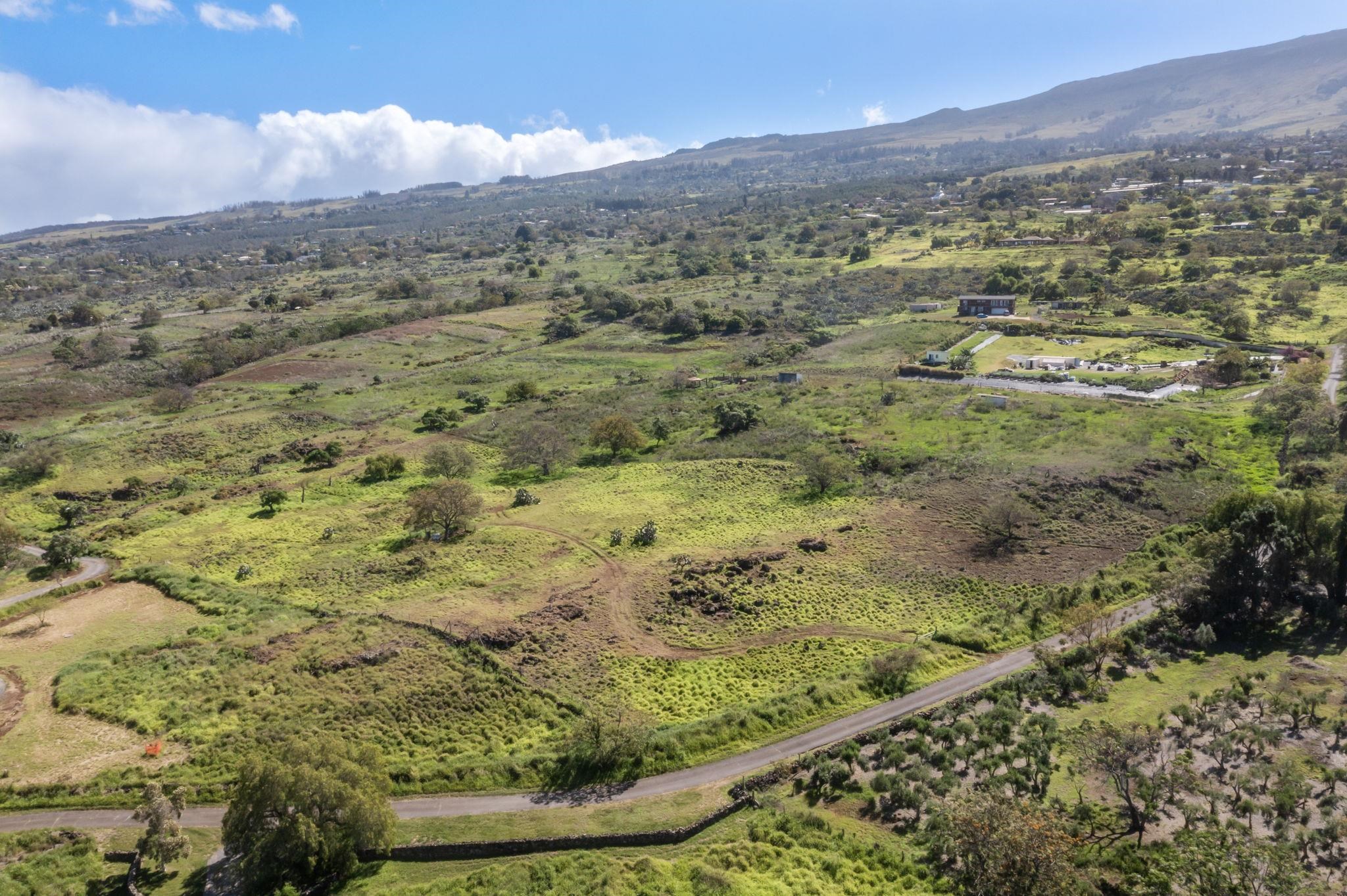0 Calasa Road Kula, HI 96790 - Photo 25 of 39