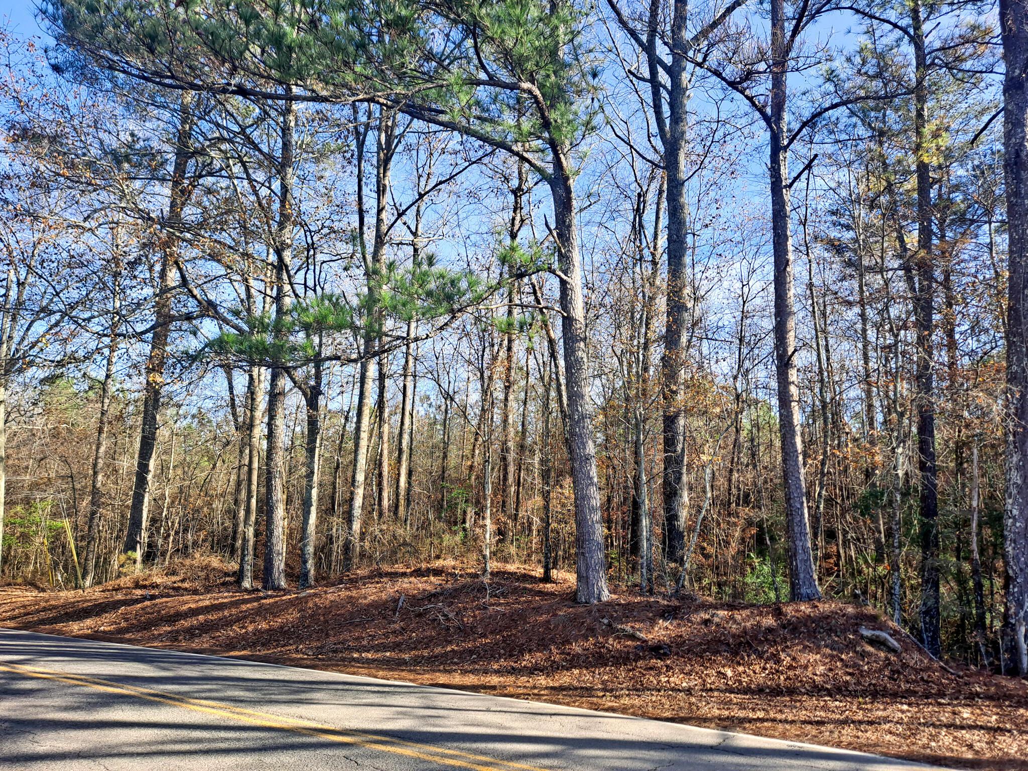 Duncan Road Jasper, AL 35503 - Photo 5 of 12 Gallery Image 5