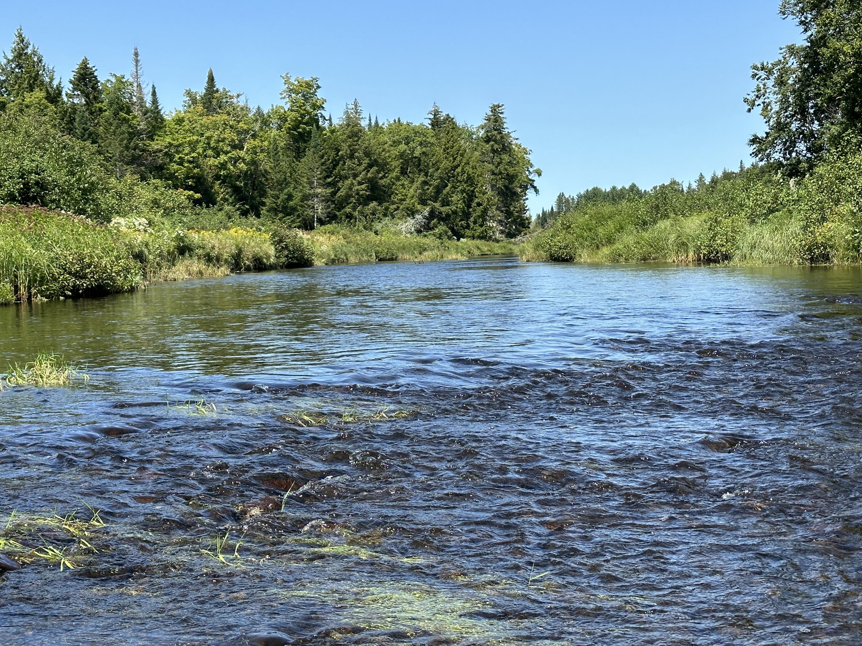 0 Off Bellfield Road Springfield, ME 04487 - Photo 24 of 26 Photo Sep 01 2023, 12 32 09 PM