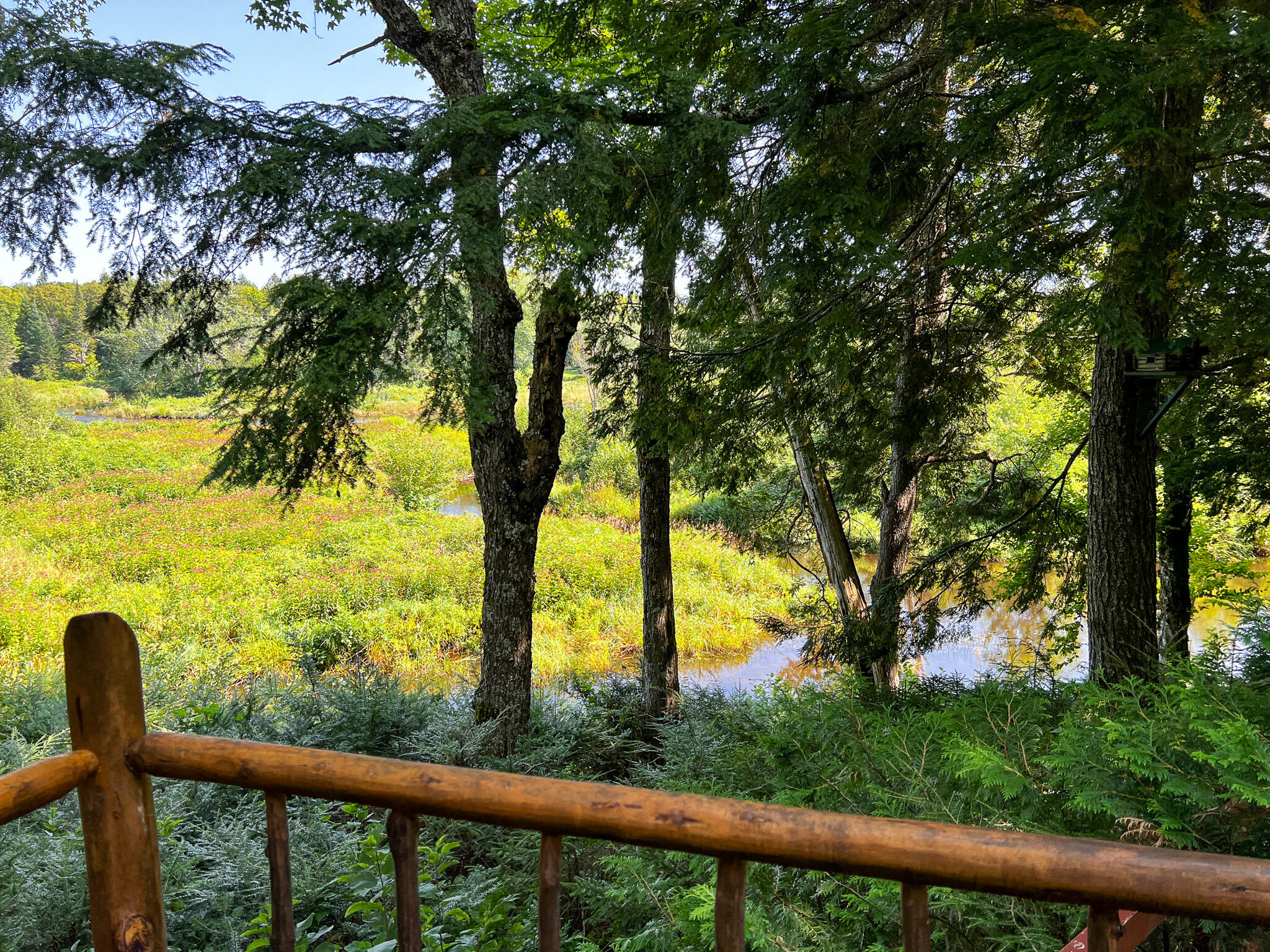 0 Off Bellfield Road Springfield, ME 04487 - Photo 8 of 26 IMG_0482