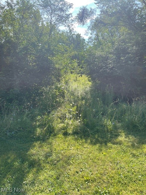 Brecksville Road Independence, OH 44131 - Photo 4 of 4 View of tree filled area